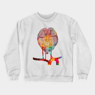 Brain and brainstem Crewneck Sweatshirt